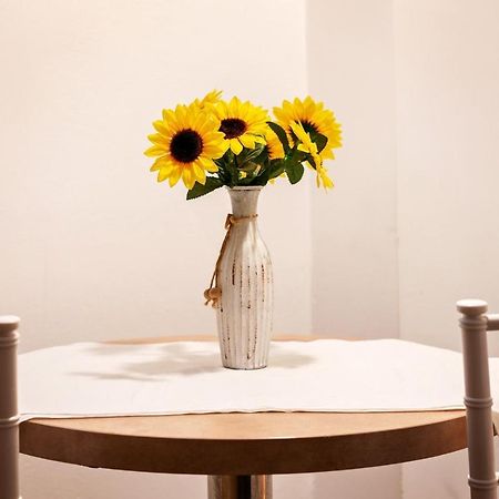 Diac Apartment Center Braszów Zewnętrze zdjęcie